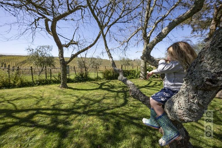 Photo of property in 30 Riverhead Road, Kumeu, 0810