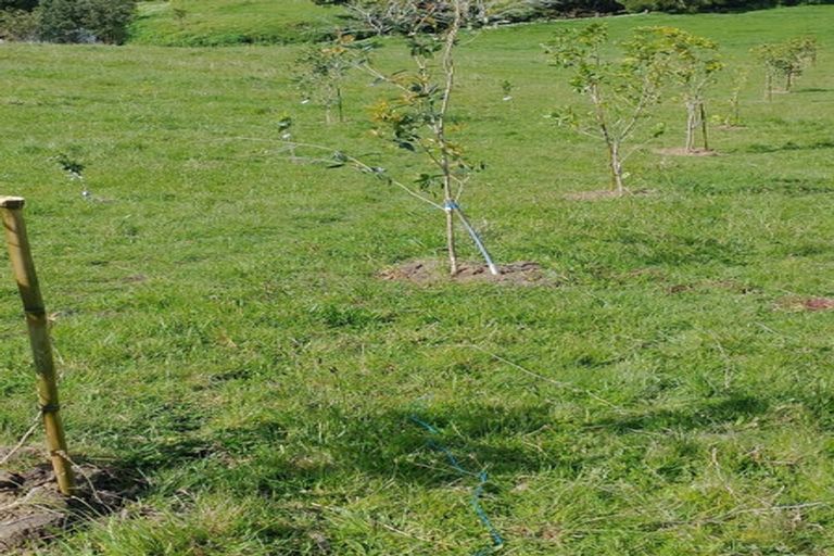 Photo of property in 109 Vinegar Hill Road, Kauri, Kamo, 0185