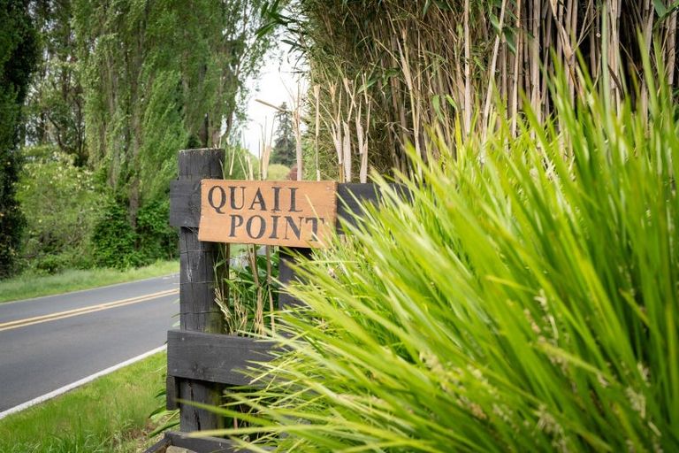 Photo of property in 463 Pickering Road, Tamahere, Hamilton, 3283