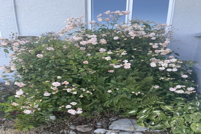 Photo of property in 11 Garden Street, Lumsden, 9730