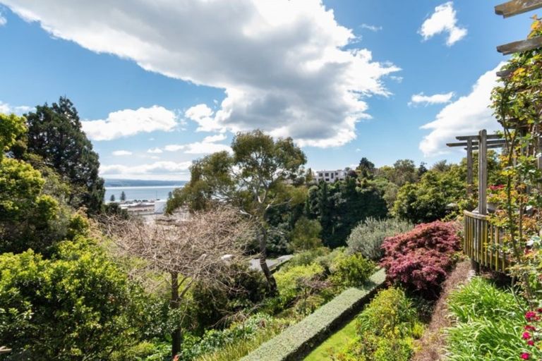 Photo of property in 26 George Street, Hospital Hill, Napier, 4110