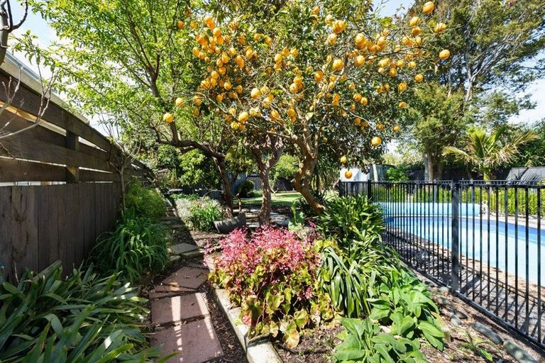 Photo of property in 19 Tatai Road, Bowentown, Katikati, 3177