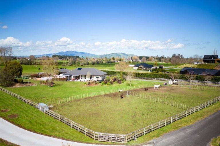 Photo of property in 102 Maungakawa Road, Cambridge, 3496