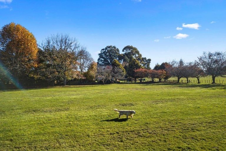 Photo of property in 50c Cedar Park Road, Tamahere, Hamilton, 3283