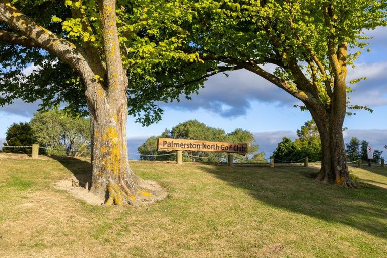 Photo of property in 3 Windsor Street, Terrace End, Palmerston North, 4410