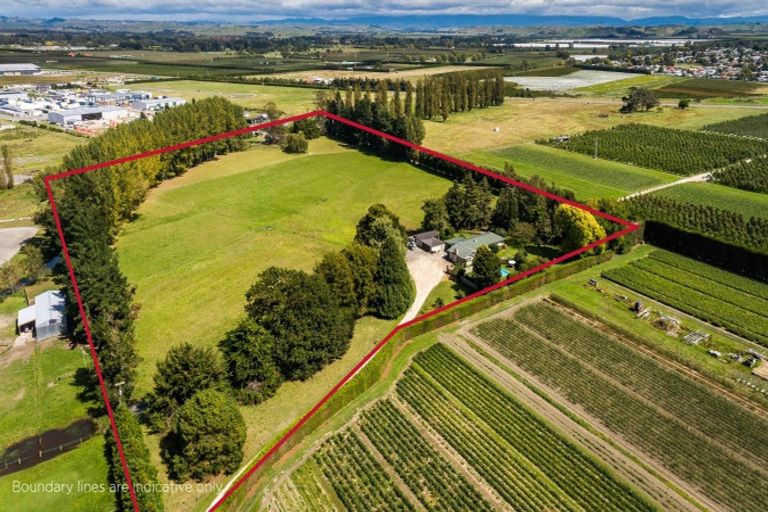 Photo of property in 59 York Road, Longlands, Hastings, 4120