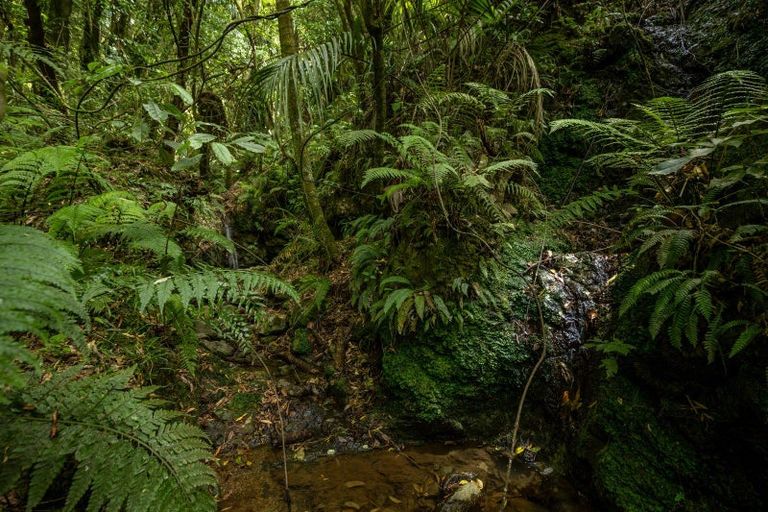 Photo of property in 185 Kanuka Rise, Wakapuaka, Nelson, 7071