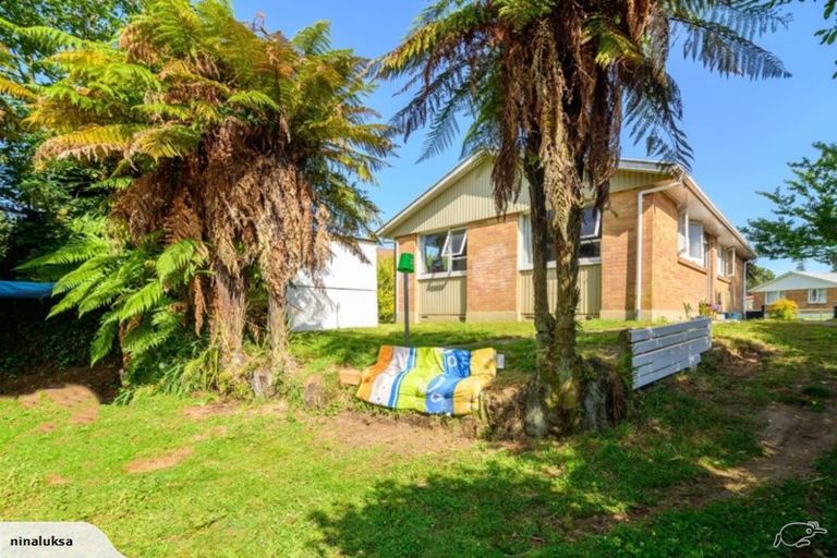 Photo of property in 13 Ruth Street, Fordlands, Rotorua, 3015