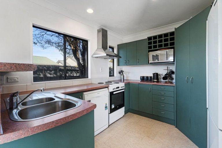 Photo of property in 63 Solomon Street, Brookfield, Tauranga, 3110