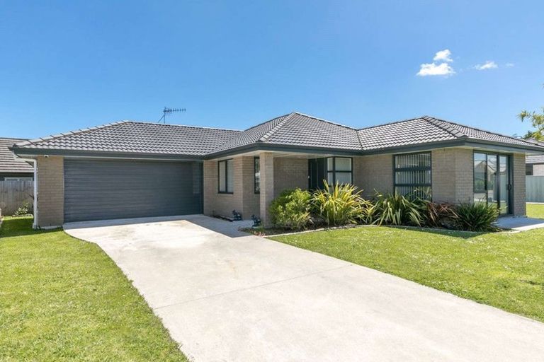 Photo of property in 12 Astor Avenue, Dinsdale, Hamilton, 3204