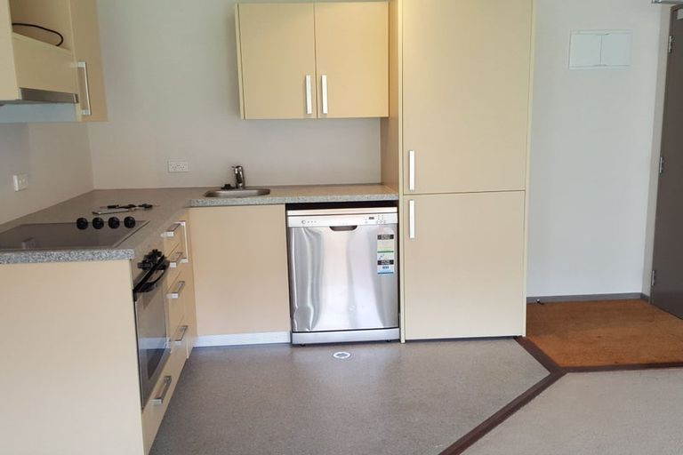 Photo of property in Dual Apartments, 210/142 Vivian Street, Te Aro, Wellington, 6011