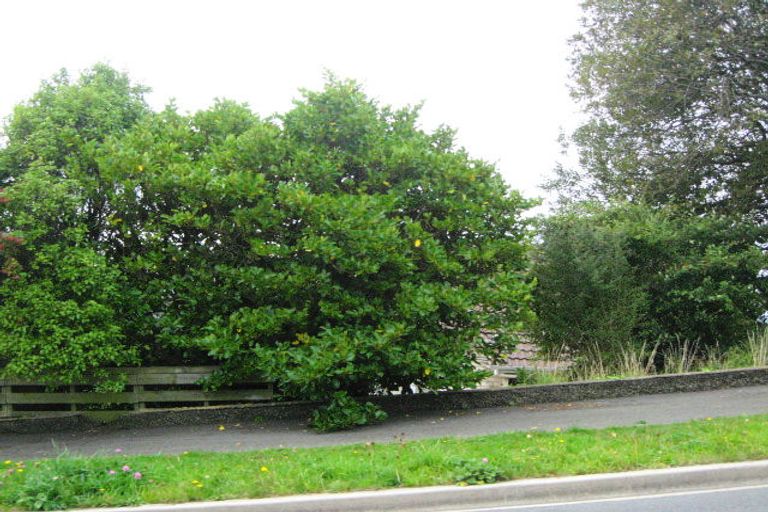 Photo of property in 56 Waimea Avenue, Calton Hill, Dunedin, 9012