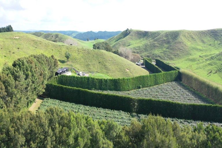 Photo of property in 809 Pikowai Road, Pikowai, Whakatane, 3194