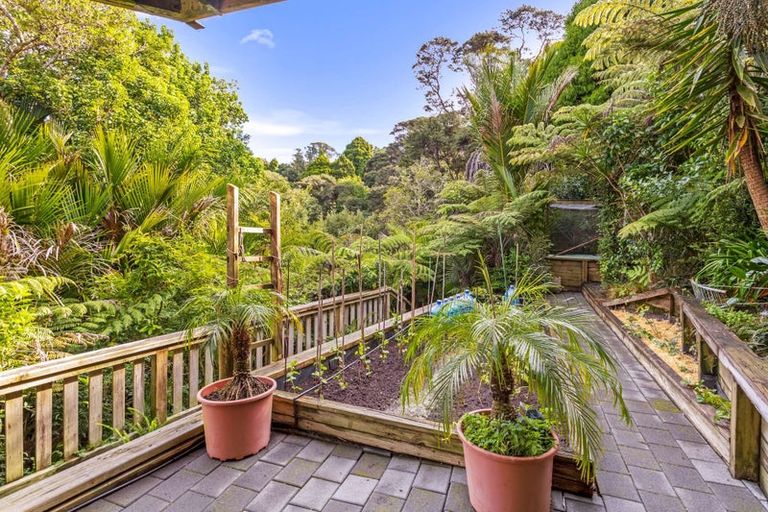 Photo of property in 24 Punga Place, Whitianga, 3510