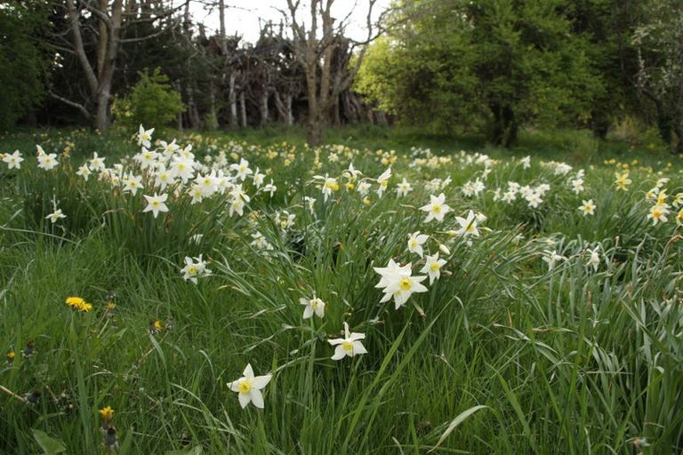 Photo of property in 85 Tokarahi-duntroon Road, Tokarahi, Oamaru, 9491