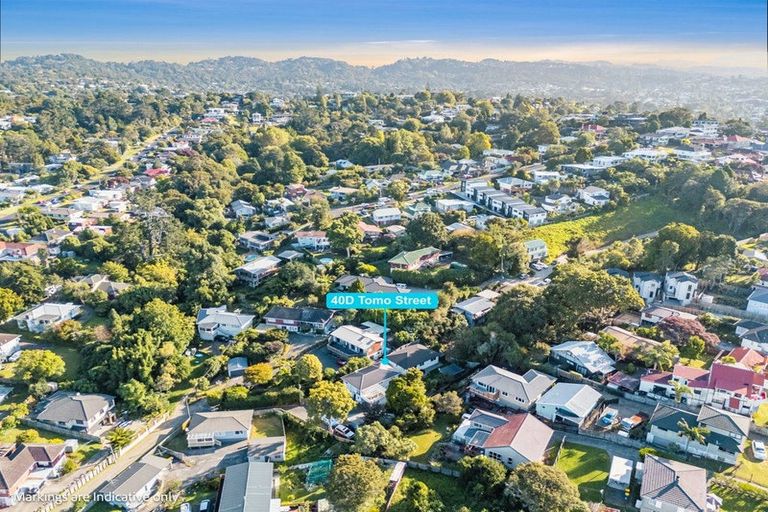 Photo of property in 40d Tomo Street, New Lynn, Auckland, 0600