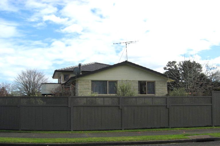 Photo of property in 39 Rimu Street, Levin, 5510