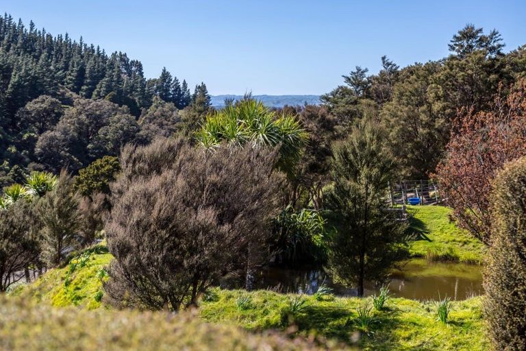 Photo of property in 91 Boar Bush Gully Road, Featherston, 5710