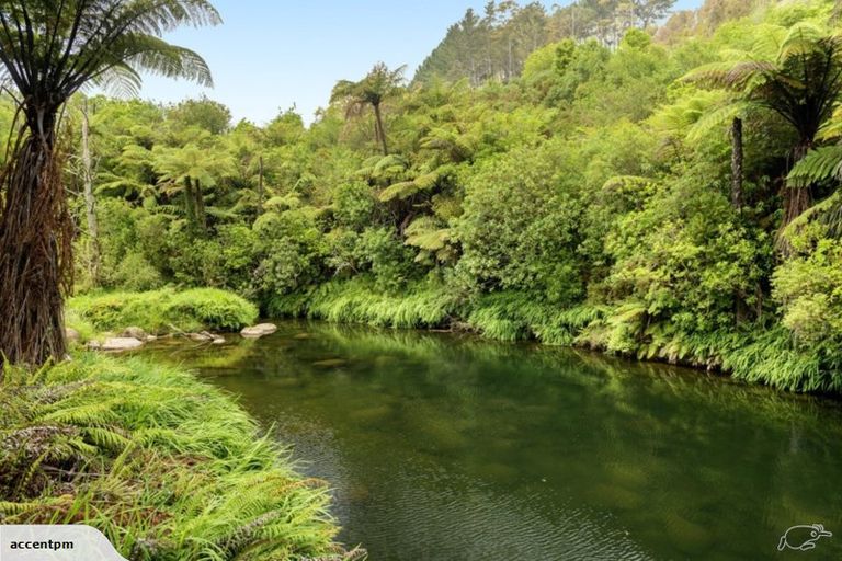 Photo of property in 55b Sagewood Road, Whakamarama, Tauranga, 3180