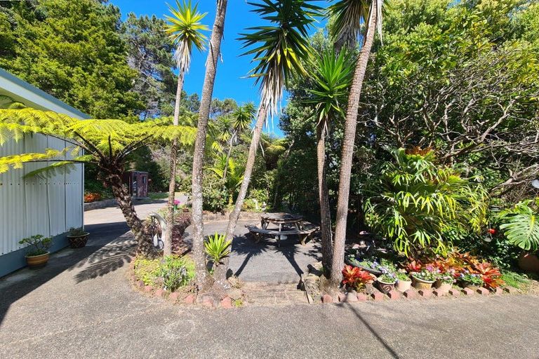 Photo of property in 1510 Long Bay Road, Coromandel, 3506