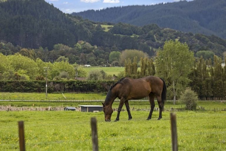 Photo of property in 44b Guy Road, Kaipara Flats, Warkworth, 0981