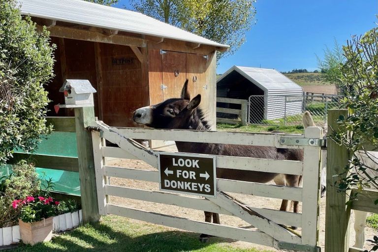Photo of property in 805 Opihi Road, Totara Valley, Pleasant Point, 7982