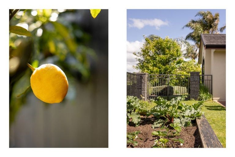 Photo of property in 2 Brackenburn Drive, Ohauiti, Tauranga, 3112