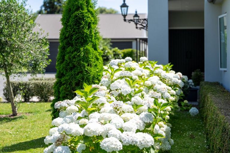 Photo of property in 107a Tauwhare Road, Tamahere, Hamilton, 3283