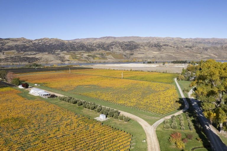 Photo of property in 1034 Luggate-cromwell Road, Mount Pisa, Cromwell, 9383