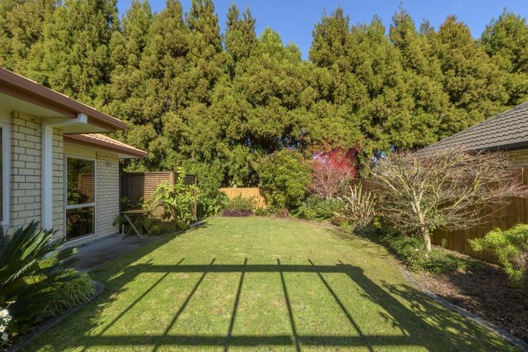 Photo of property in 16 Edwin Grove, Bethlehem, Tauranga, 3110