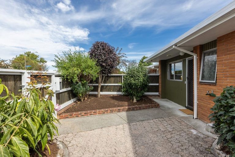 Photo of property in 2/11 Mchardy Street, Havelock North, 4130