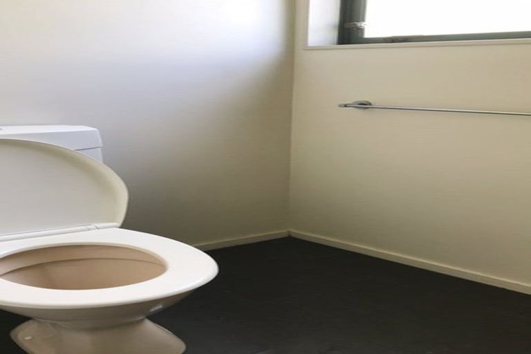 Photo of property in 33a Willoughby Street, Whitiora, Hamilton, 3200