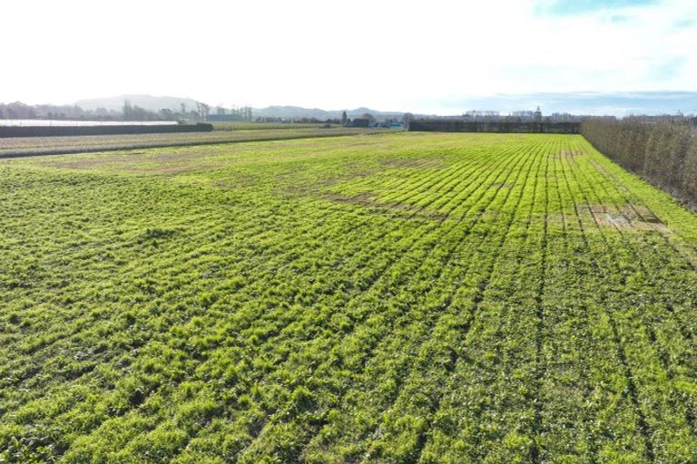 Photo of property in 1023 Links Road, Waiohiki, Napier, 4183