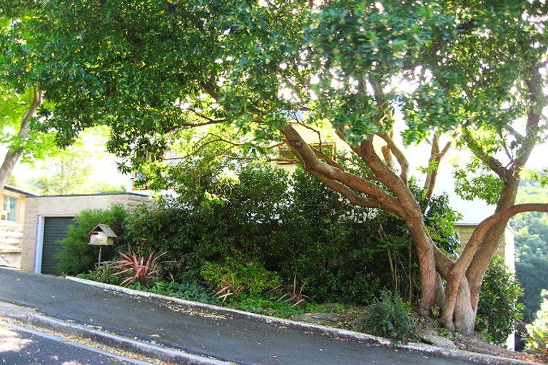 Photo of property in 50 Pioneer Crescent, Helensburgh, Dunedin, 9010