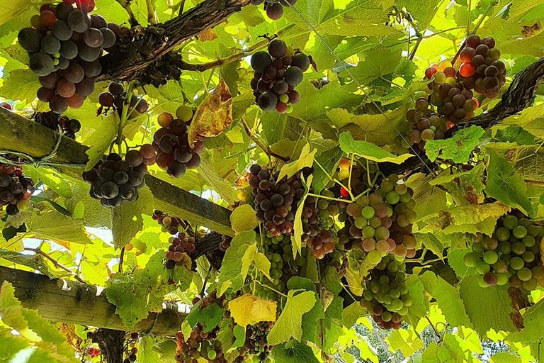 Photo of property in 76 Brick Bay Drive, Sandspit, Warkworth, 0982