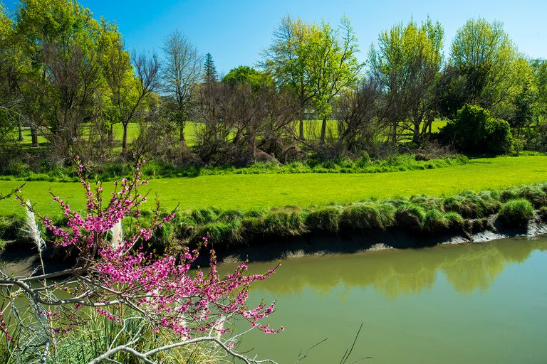 Photo of property in 1041a Aberdeen Road, Te Hapara, Gisborne, 4010