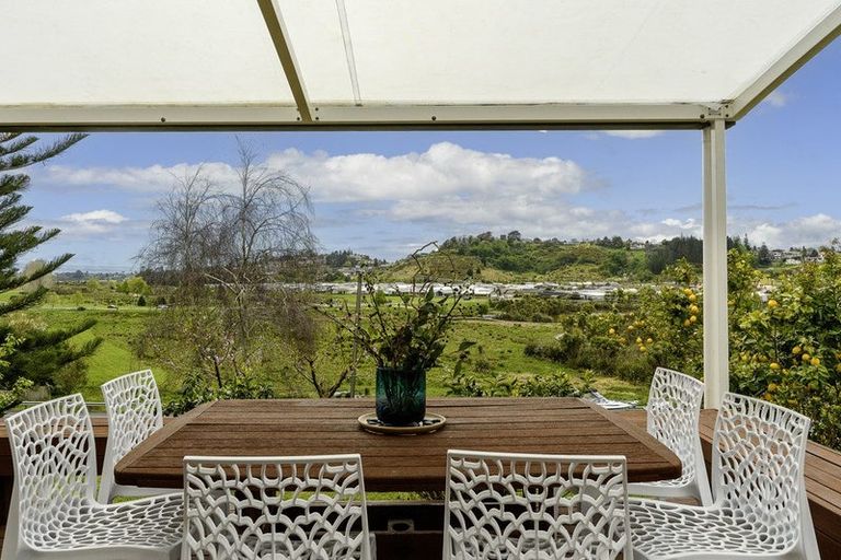 Photo of property in 31 Brodie Place, Bethlehem, Tauranga, 3110