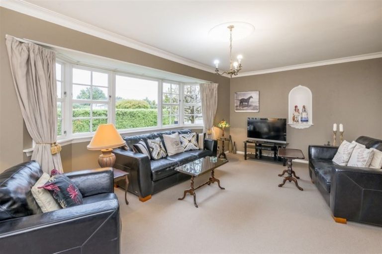 Photo of property in 61 Macarthur Street, Levin, 5510