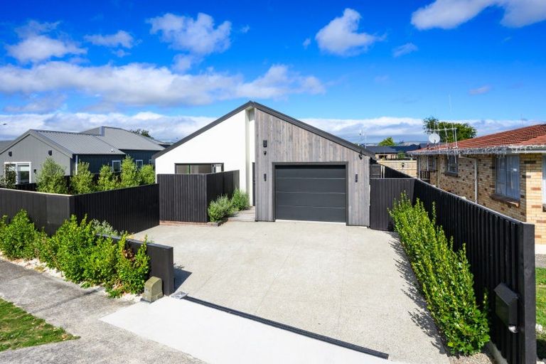 Photo of property in 46 Napier Road, Terrace End, Palmerston North, 4410