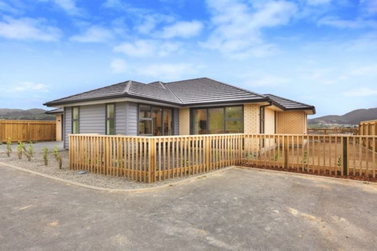 Photo of property in 169 John Burke Drive, Aotea, Porirua, 5024