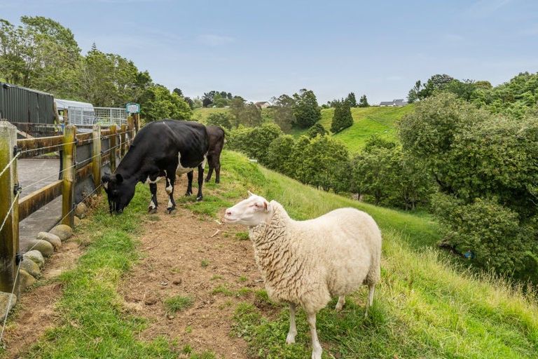 Photo of property in 66 Mcgiven Drive, Ridgewood, New Plymouth, 4371