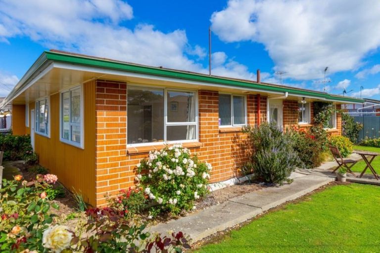 Photo of property in 17a Hale Street, Blenheim, 7201