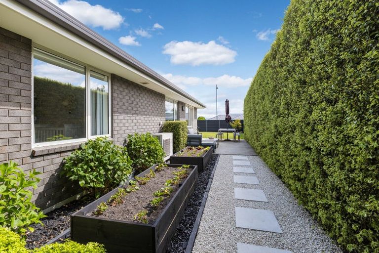 Photo of property in 134 Turnbull Drive, Witherlea, Blenheim, 7201