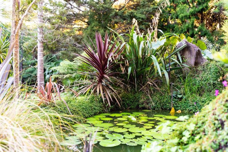 Photo of property in 75 Our Road, Whangarei Heads, Whangarei, 0174