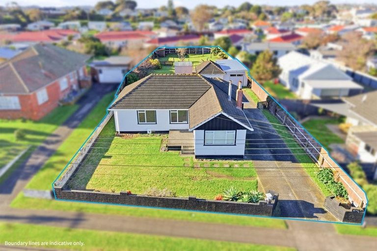 Photo of property in 44 Gonville Avenue, Gonville, Whanganui, 4501