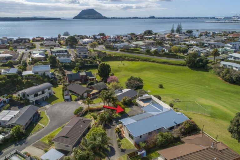 Photo of property in 3 Dillon Way, Otumoetai, Tauranga, 3110