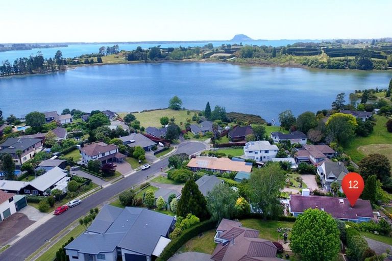 Photo of property in 12 Lindoch Avenue, Te Puna, Tauranga, 3174