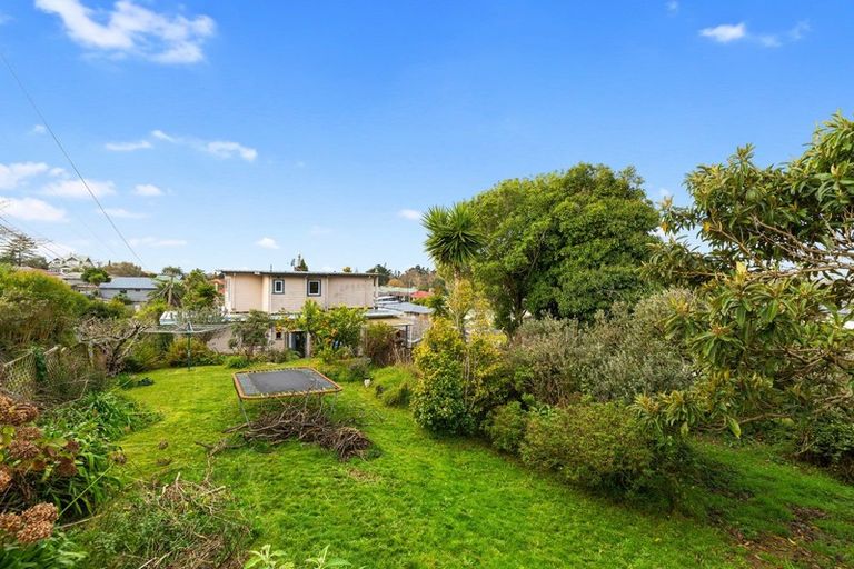 Photo of property in 25 Carey Street, Maeroa, Hamilton, 3200