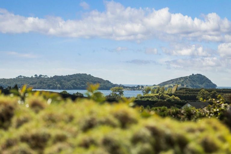 Photo of property in 63 Ongare Point Road, Tahawai, Katikati, 3170