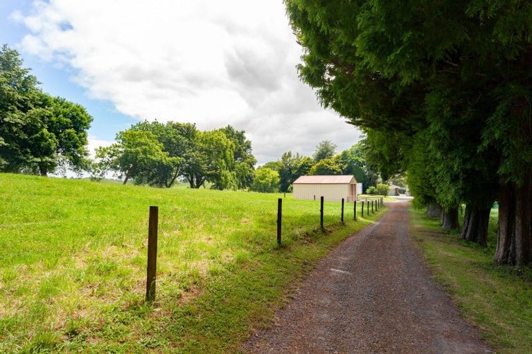 Photo of property in 113 Domain Road, Putaruru, 3482